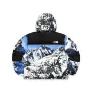 SUP x TNF 18SS 聯名 Mountain Parka 經典 雪山羽絨服 羽絨外套：圖片 3