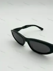 【現貨】【過驗】巴黎 BLC 22SS 貓眼字母 扭扭腿 板材太陽眼鏡 墨鏡 鏡框 BB0207S：圖片 15