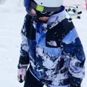 SUP x TNF 18SS 聯名 Mountain Parka 經典 雪山衝鋒衣 風衣外套