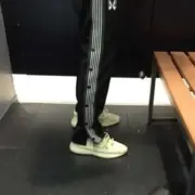 Needles 21SS Butterfly Regular Track Pants 蝴蝶刺繡 側邊排扣復古織帶 休閒褲 直筒褲：圖片 5