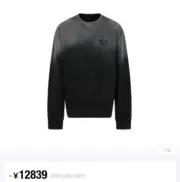 PRA 23FW Ripped-Triangle 三角標 漸變漸層褪色 水洗煙燻 衛衣大學T長袖：圖片 6