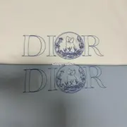 【618新品】D1OR x HYLTON NEL 25SS 聯名貓咪刺繡 短袖T恤 二色：圖片 12