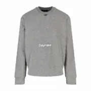 【預售】【2026新年福利】PRA 23FW 素色簡約 三角標小logo 鐵牌 大學T圓領衛衣長袖 灰色：圖片 2